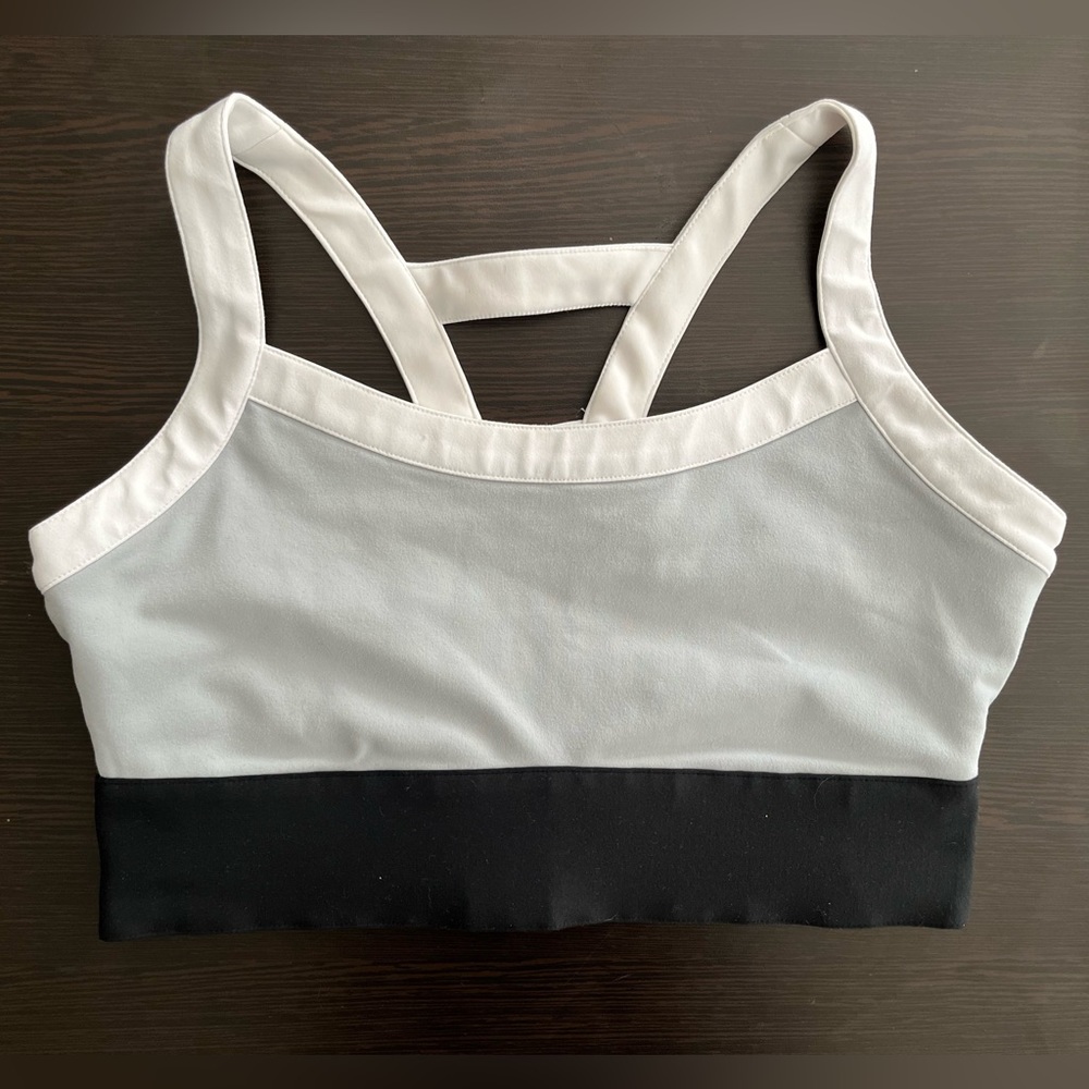 Fabletics Robyn High Support Sports Bra